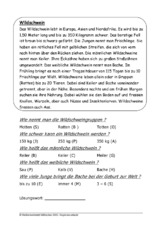 Wildschwein.pdf